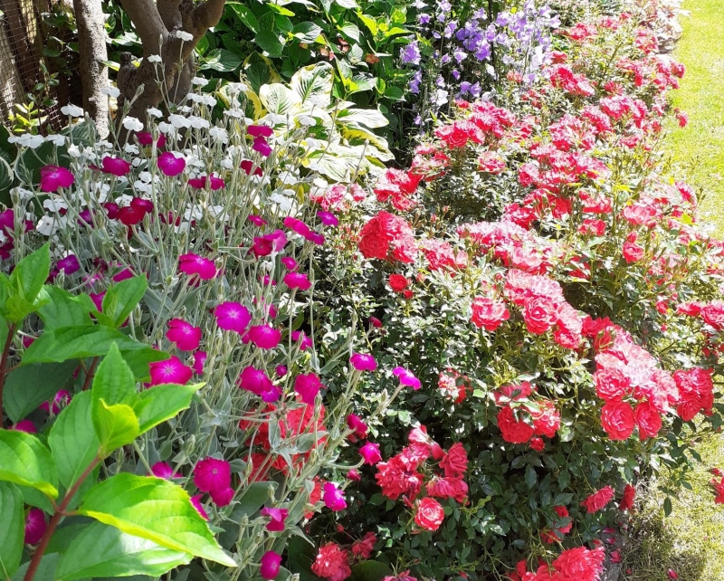 Marksbury Avenue Gardens